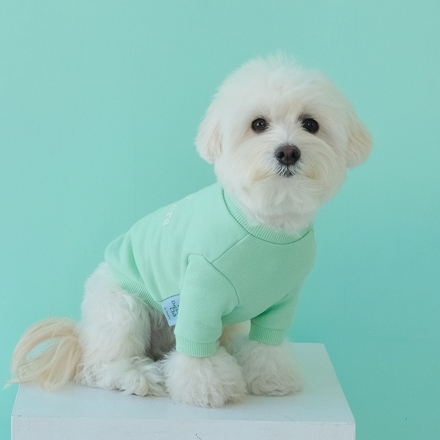(반려동물용) Crazy Dog Lovers Club DOG Sweatshirt  [Mint] 20% OFF